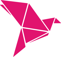 Bkash Icon